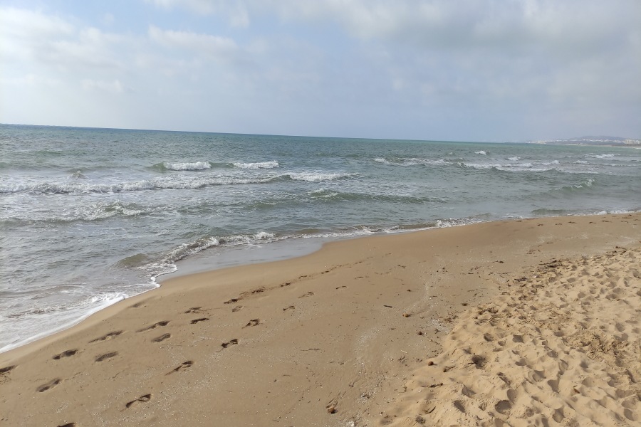Playa El Pinet