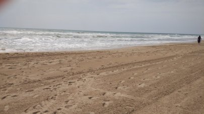 Playa del Moncayo